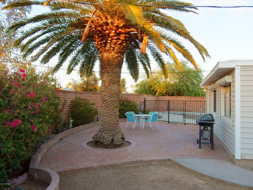 MLS BACKYARD 1