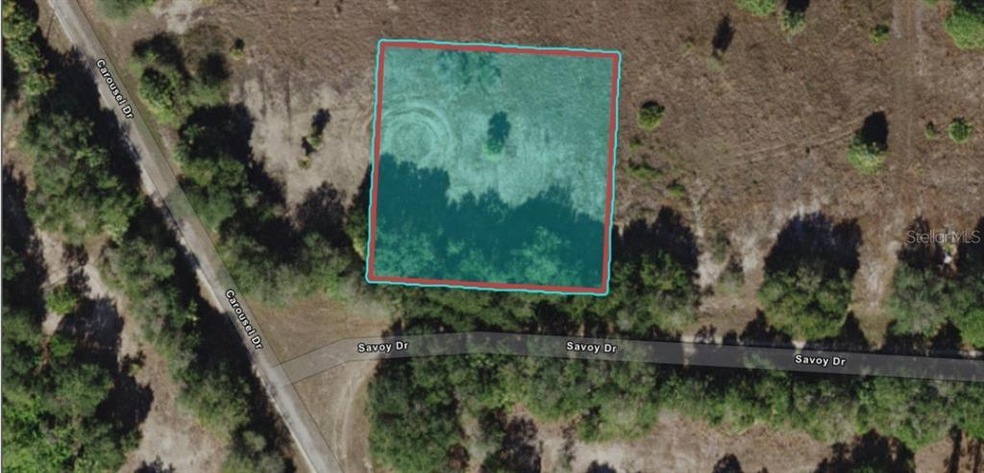 27082 Savoy Dr, Punta Gorda, FL 33955 - photo 1