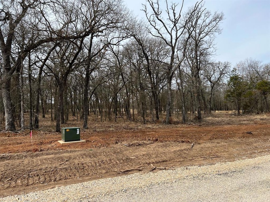 612 Roy Coffee Ct, Weatherford, TX 76087 - photo 1