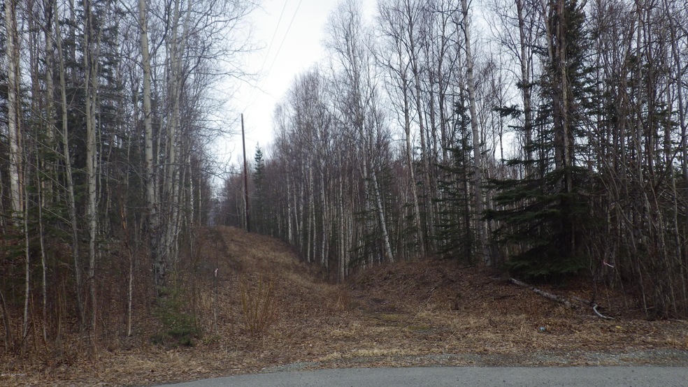 IMGP1174