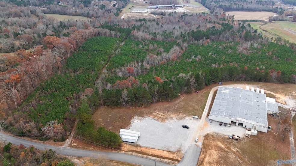 24 Acres N Star Dr, Haleyville, AL 35565 - photo 1