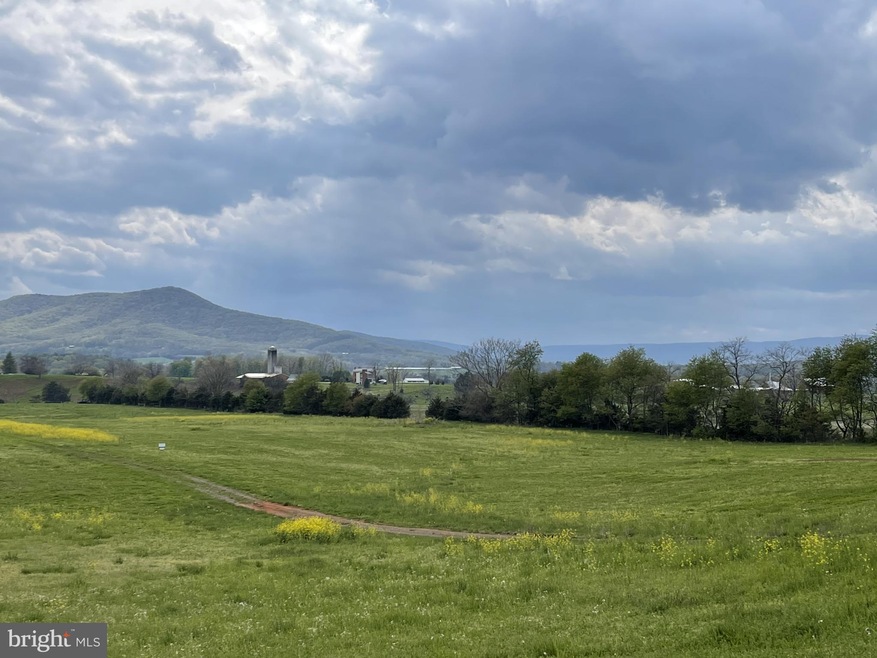 0 Log Cabin Dr unit VAPA106200, Stanley, VA 22851 - photo 1