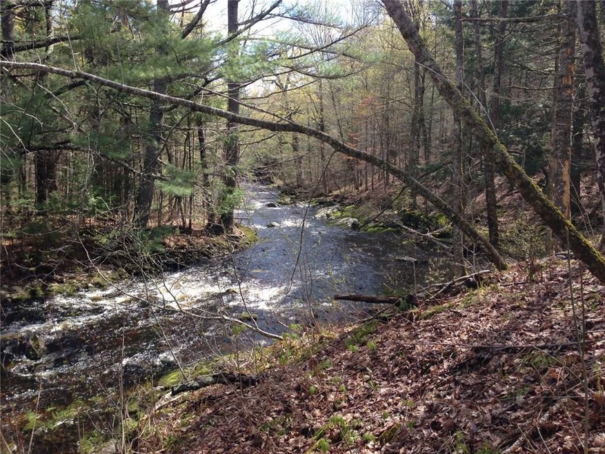 Bring your flyrod for trout fishing