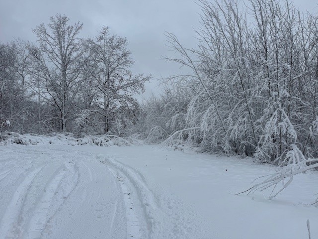0000 Barrett Rd, Trego, WI 54888 - photo 1