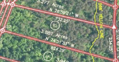 Lot View of Survey Plat
