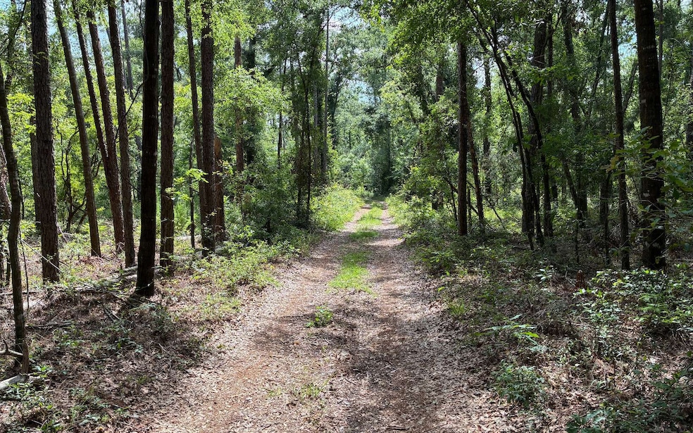 Road to the Property