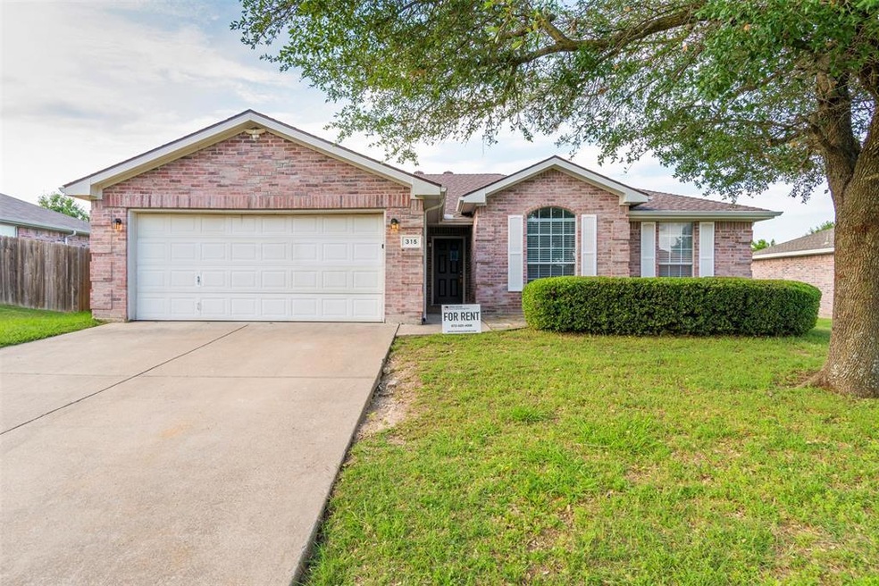 315 Lake Wichita Dr, Wylie, TX 75098 - photo 1