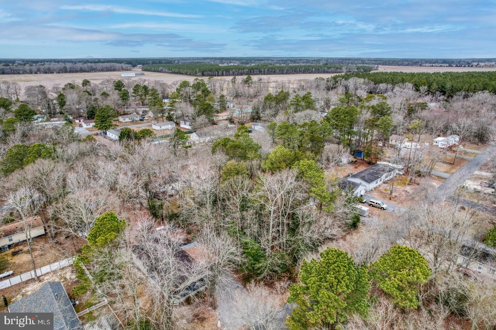 C19 Brach St, Georgetown, DE 19947 - photo 1