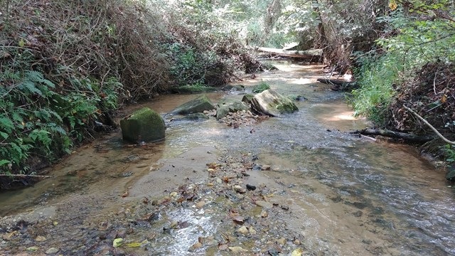 0 Quail Rd, Callands, VA 24530 - photo 1