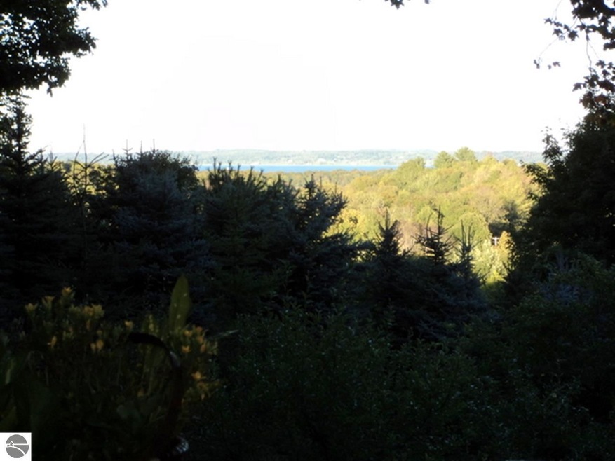 9341 E Hoxie Rd, Cedar, MI 49621 - photo 1