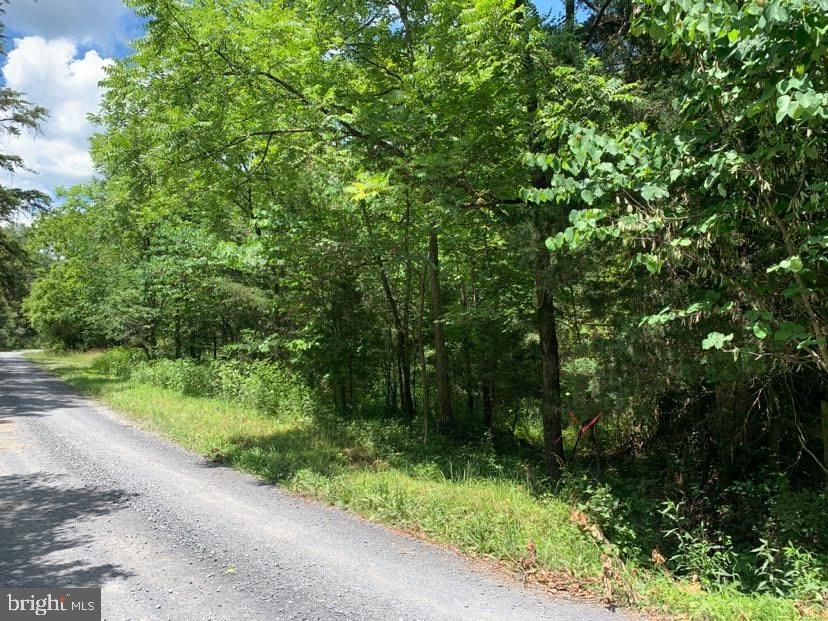 TBD Supinlick Ridge, Edinburg, VA 22824 - photo 1