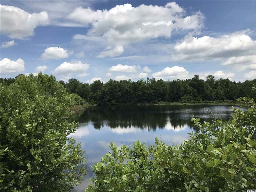 Lot 1 Chow Ln, Conway, SC 29526 - photo 1