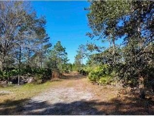 1448 Blease Ave, Orlando, FL 32833 - photo 1