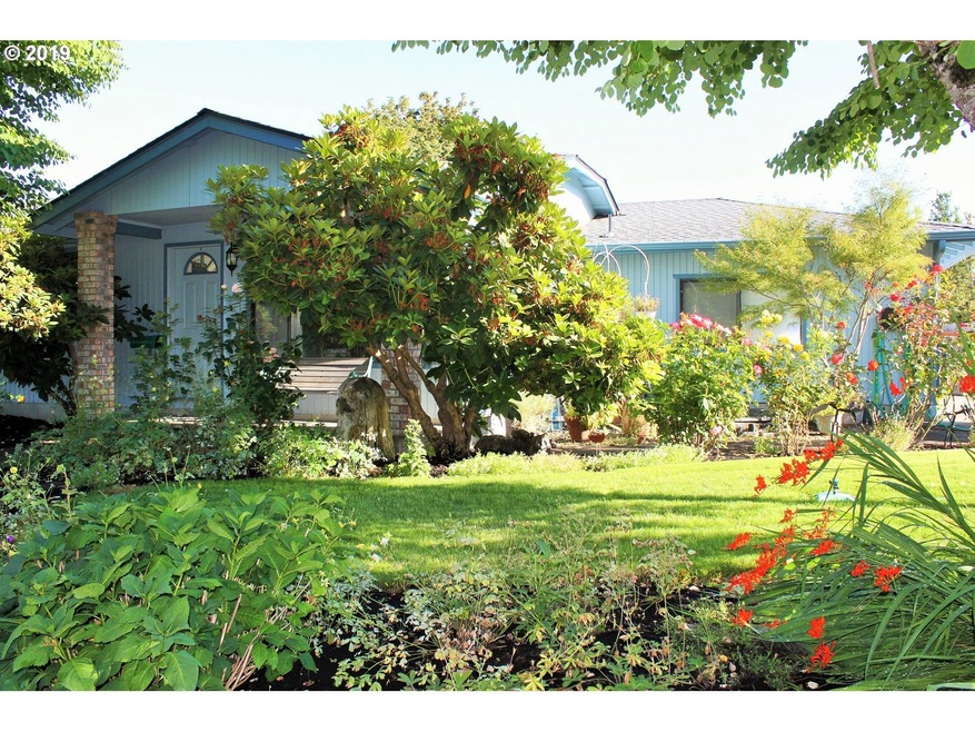 Front Yard