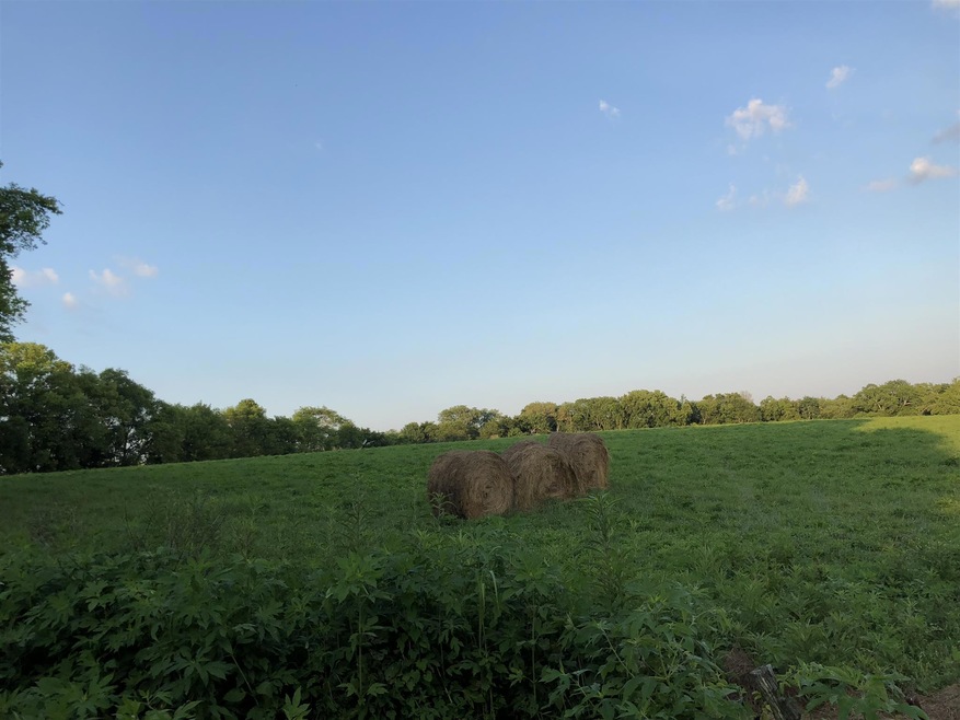 Beautiful land to build your dream home.