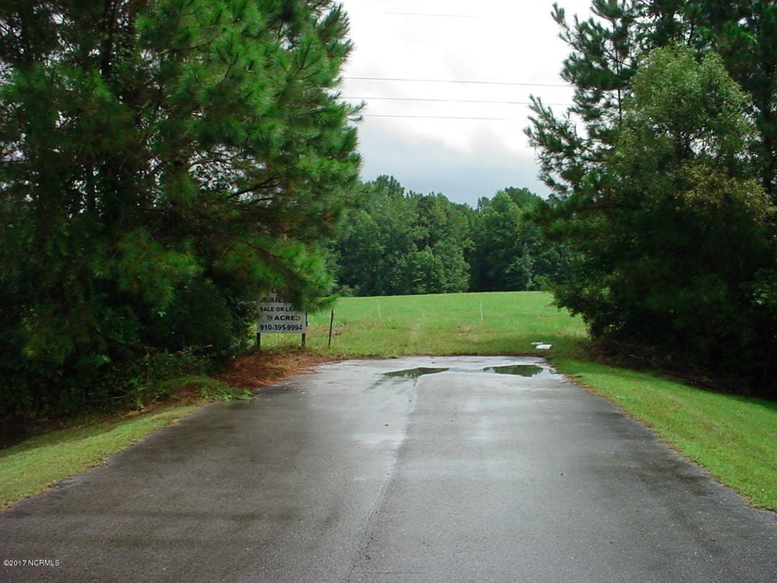 0 N Rhodes Ave, Burgaw, NC 28425 - photo 1