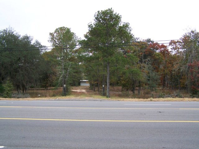 Main View