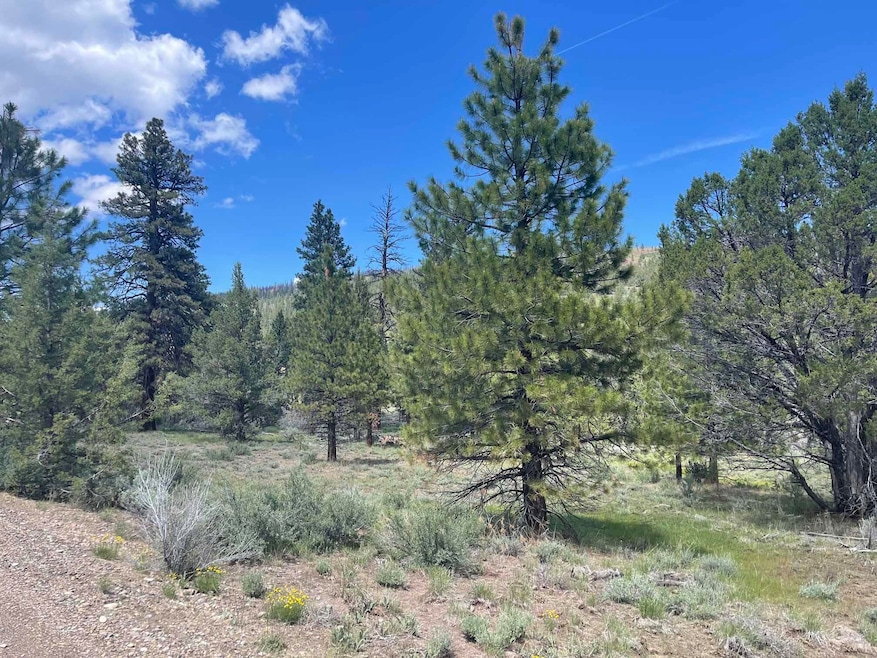 20 Acres HWY 140 Booth Park