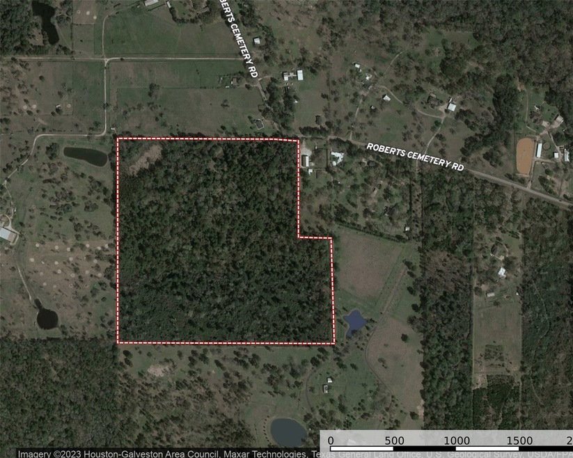 22425 Roberts Cemetery Rd, Hockley, TX 77447 - photo 1