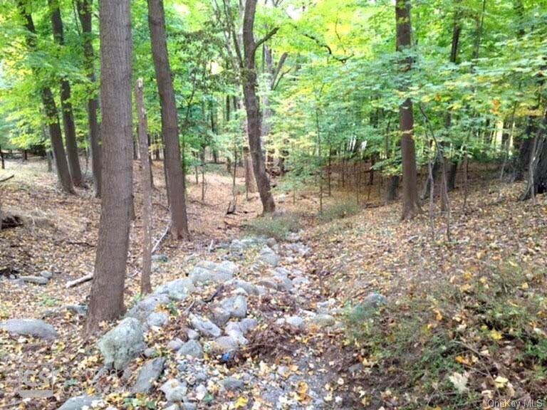 0 Moffat Rd unit H5057481, Philipstown, NY 10516 - photo 1