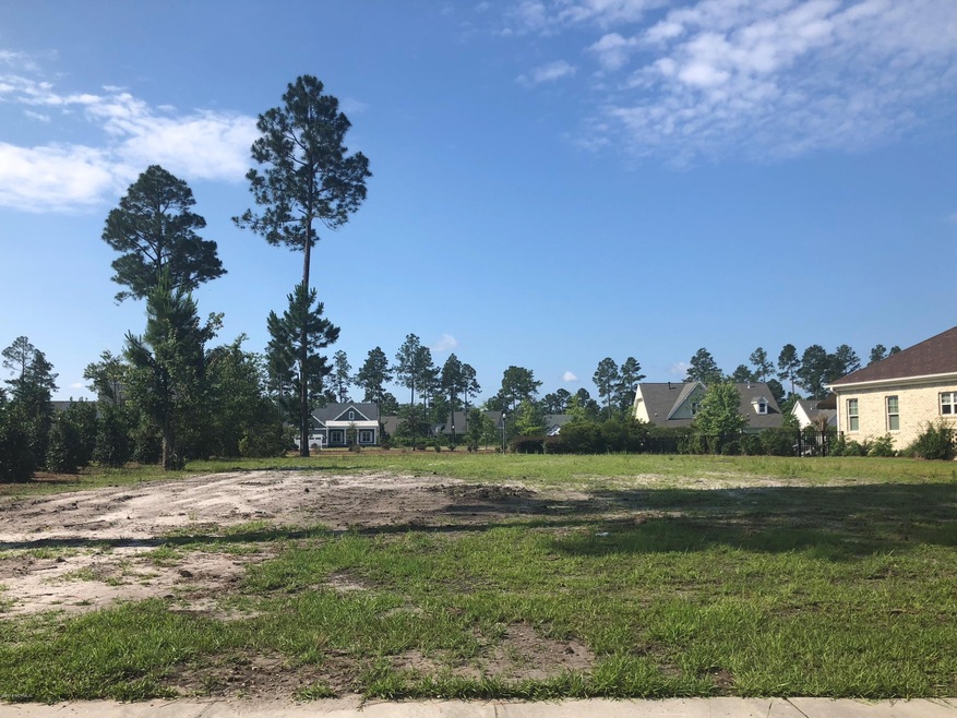 1807 Dudley Ct, Leland, NC 28451 - photo 1