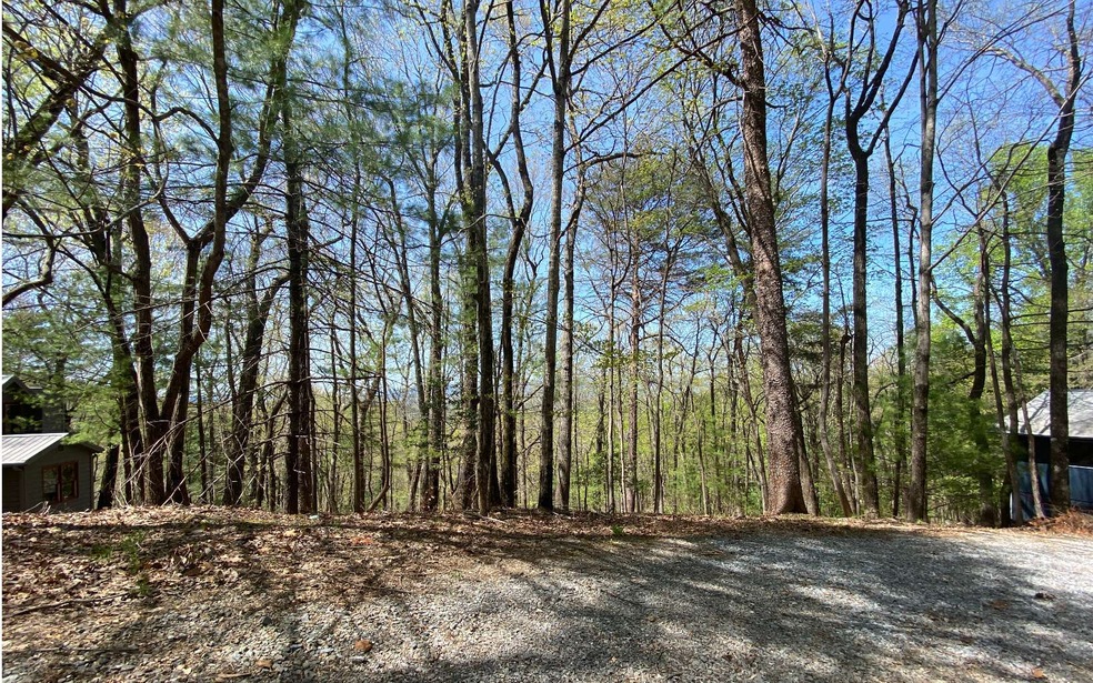 0 Mountain View Ct unit 315601, Ellijay, GA 30536 - photo 1