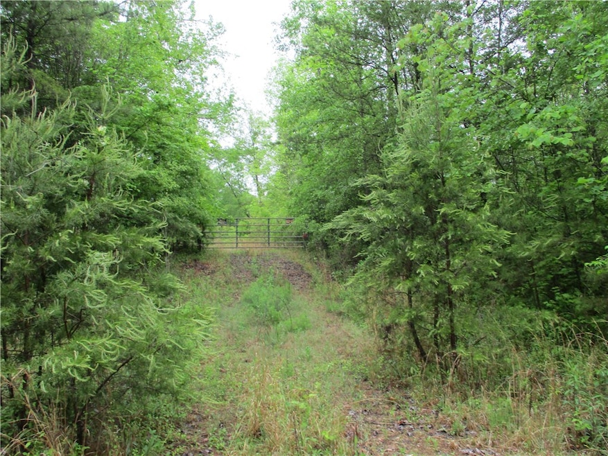 driveway entrance with gate