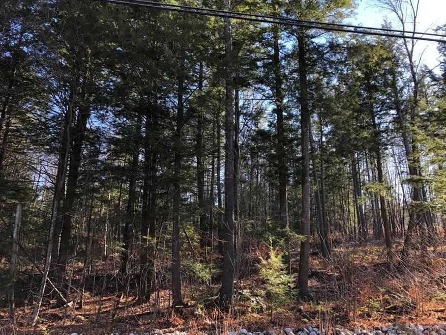 0 Milton Mills Rd Lot 1, Acton, ME 04001 - photo 1