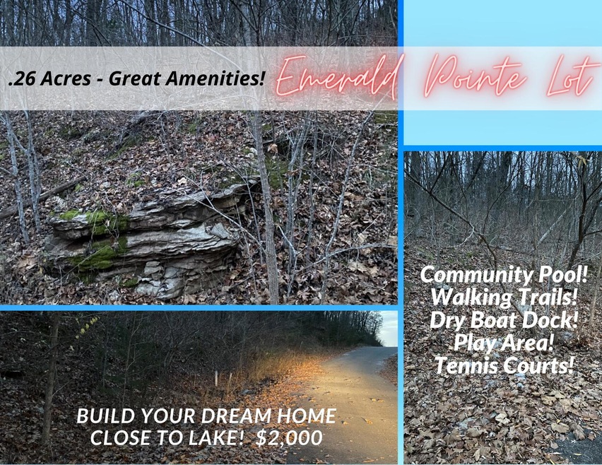 43 Skylee, Hollister, MO 65672 - photo 1