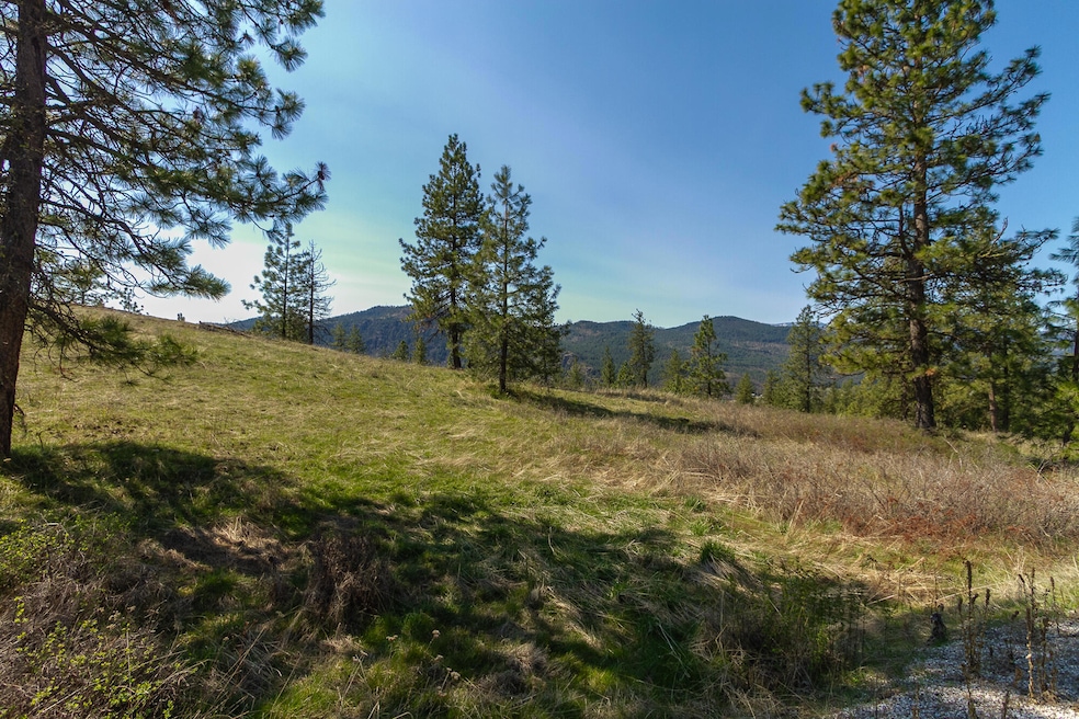 1622 Palmer Loop-2