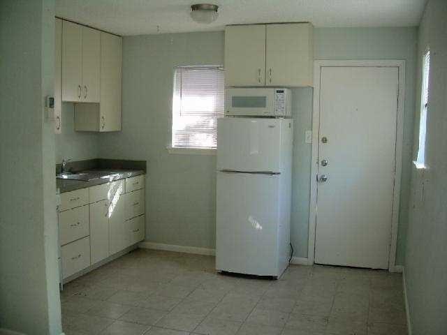 Kitchen and back door.