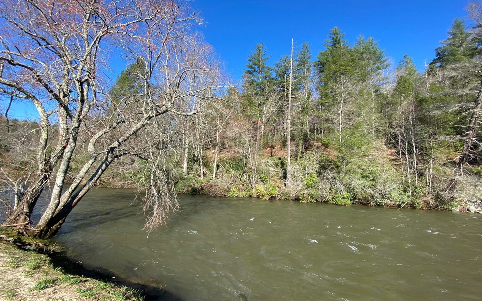 LOT 5 Woodpecker Resort, Blue Ridge, GA 30513 - photo 1