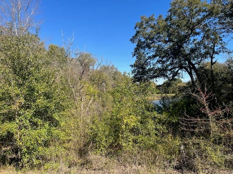 View of local wilderness featuring a water view