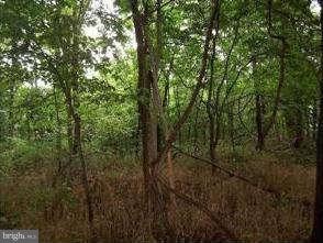 0 Cherry Ln unit 1000216589, Shepherdstown, WV 25443 - photo 1