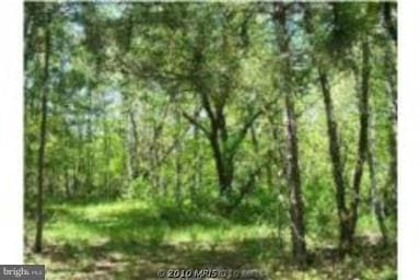 10 Jermikey Ct, Hedgesville, WV 25427 - photo 1