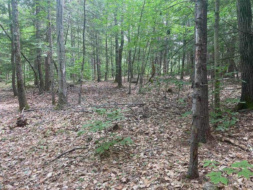 18 Split Oak Cir unit 4A/A001/01, Chesterfield, NH 03443 - photo 1