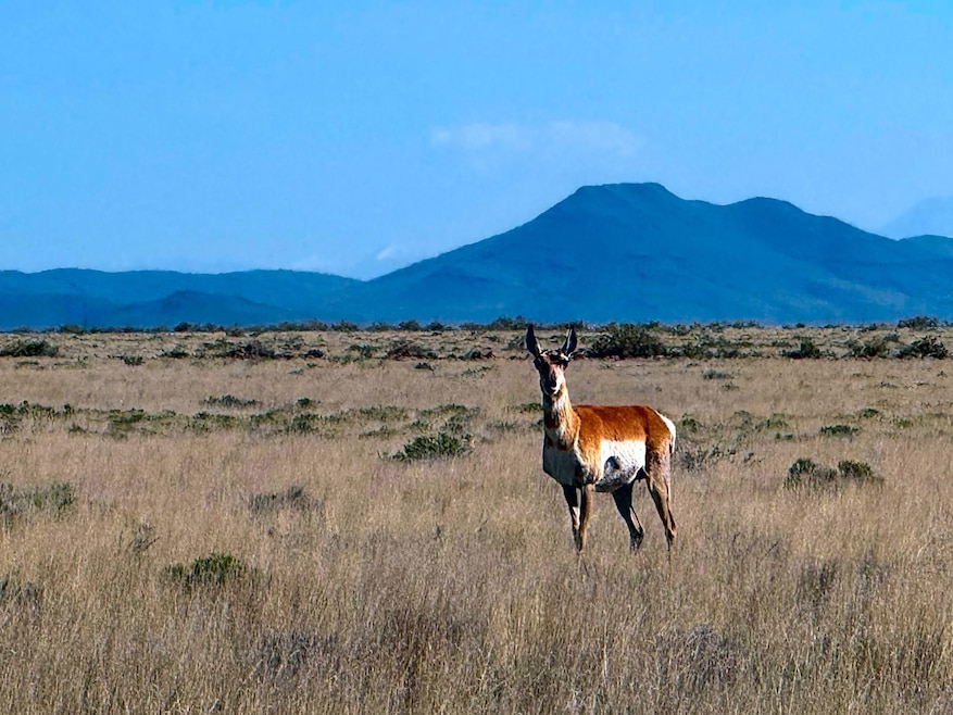 Pecos Trail, Jaroso, CO 81138 - photo 1