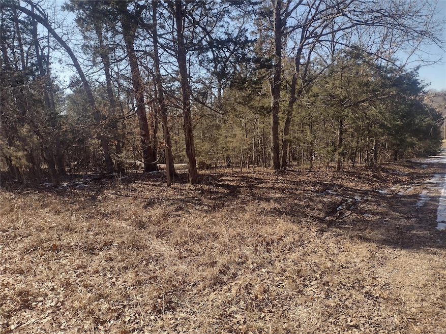 0 Calista Dr, Perry Township, MO 63628 - photo 1