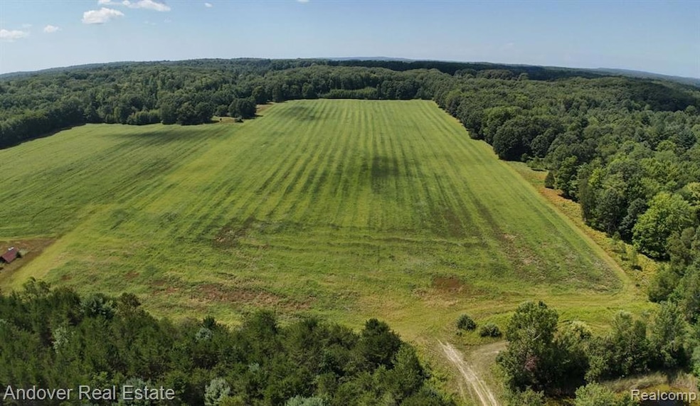 00B Leckrone Rd, Brown Township, MI 49619 - photo 1