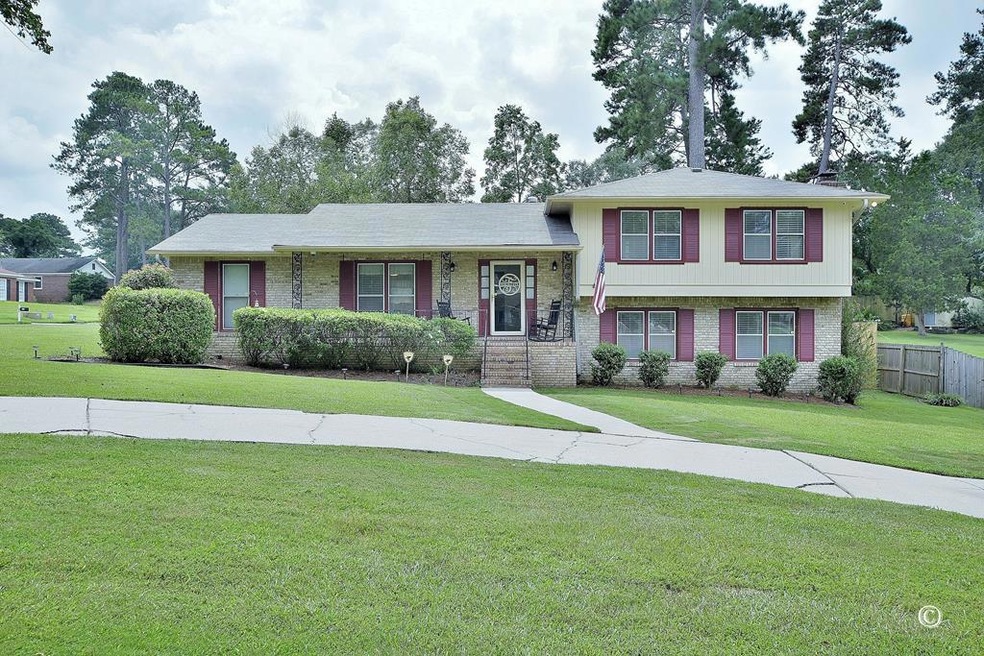 Main View