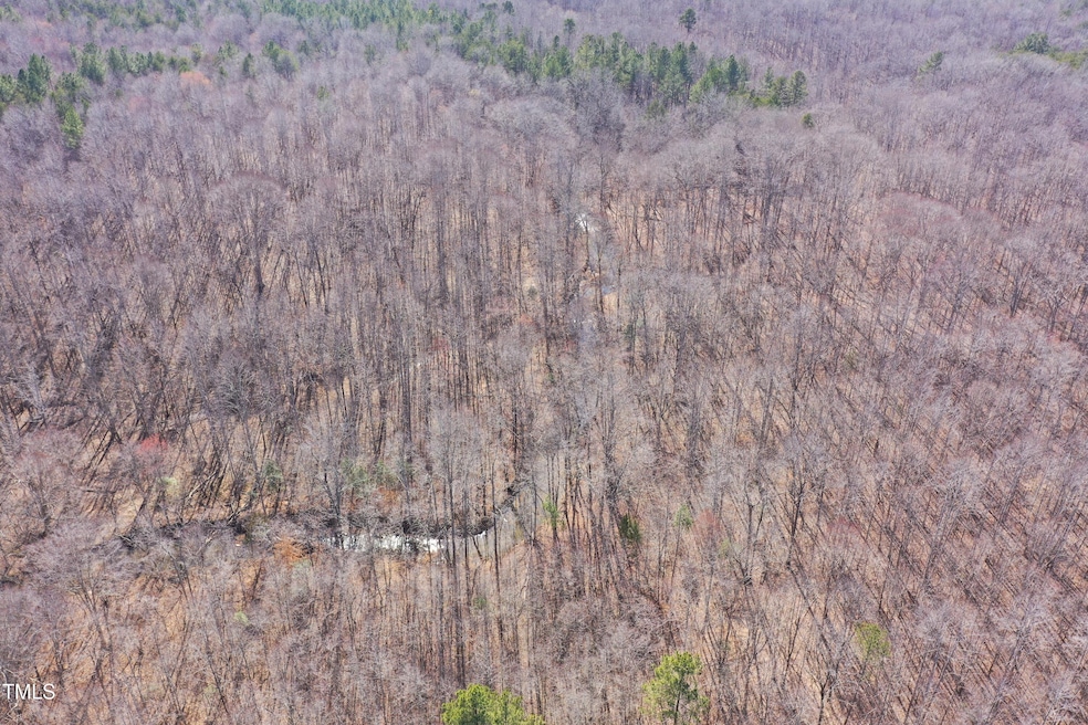 DJI_0890 stream bordering property