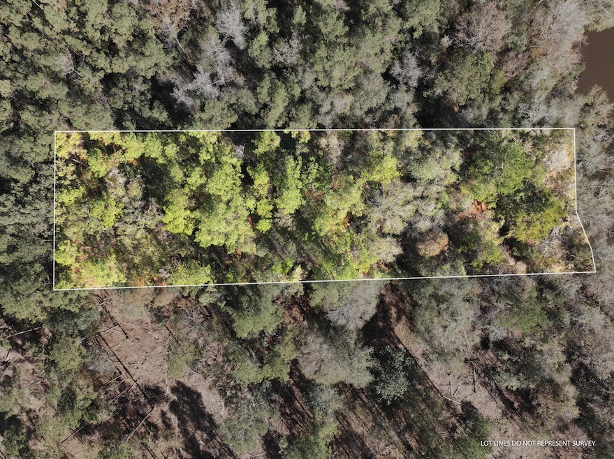 Old_Hwy_24_W_Lot_21-1