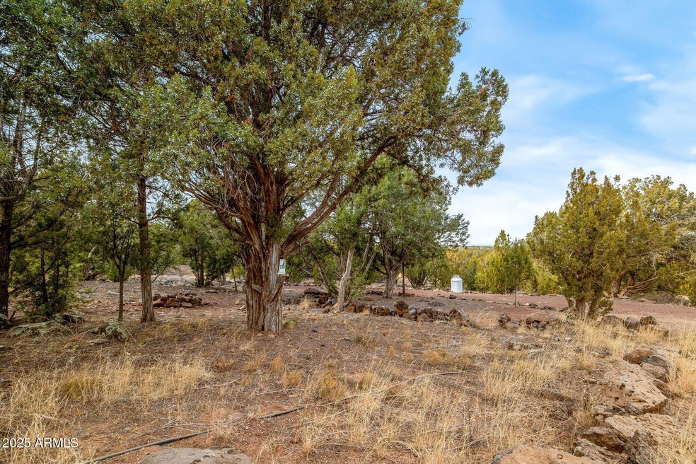 1858BourdonSt-ShowLow-AZ-13