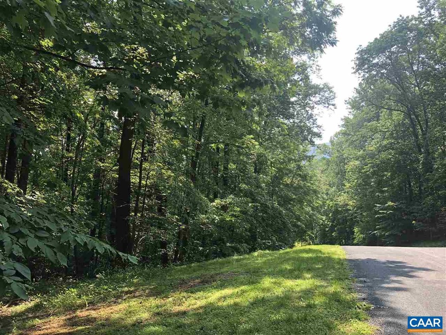 398 Stone Chimneys Rd unit I5, Nellysford, VA 22958 - photo 1
