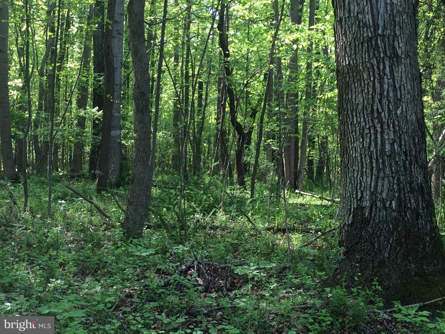 0 Mount Gilead Rd unit VALO397320, Leesburg, VA 20175 - photo 1