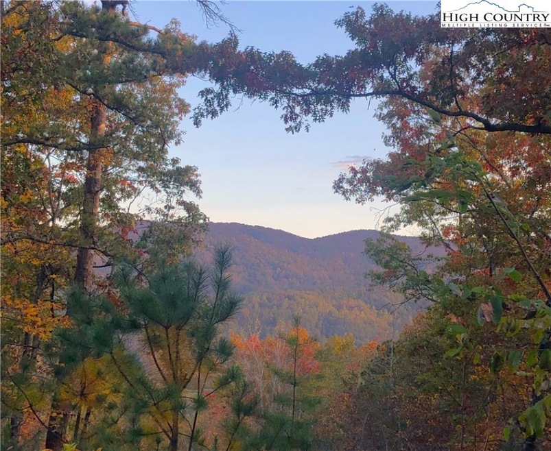 1005 Reynolds Pkwy, Ferguson, NC 28624 - photo 1