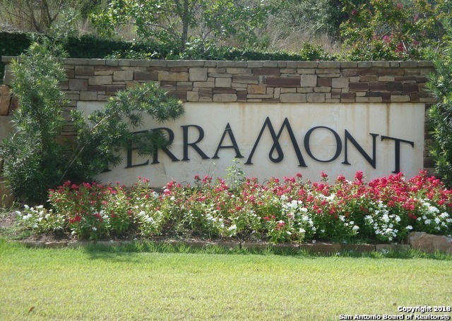 19318 Terra Brook, San Antonio, TX 78255 - photo 1