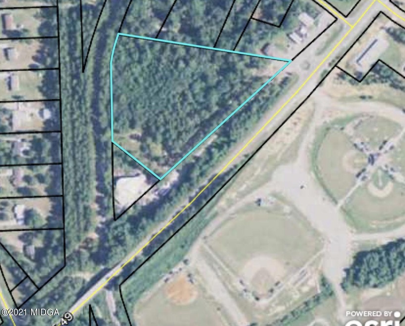 = Highway 49, Macon, GA 31211 - photo 1