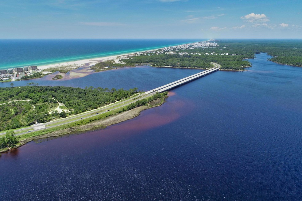 Lake Powell is one of the largest coastal dune lakes in Florida. Coastal dune lakes are extremely rare worldwide; in the US they only occur along the Gulf Coast.