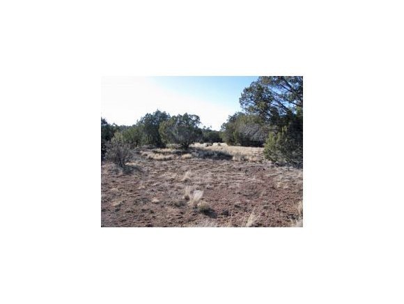 61 Juniperwood Ranch, Ash Fork, AZ 86320 - photo 1